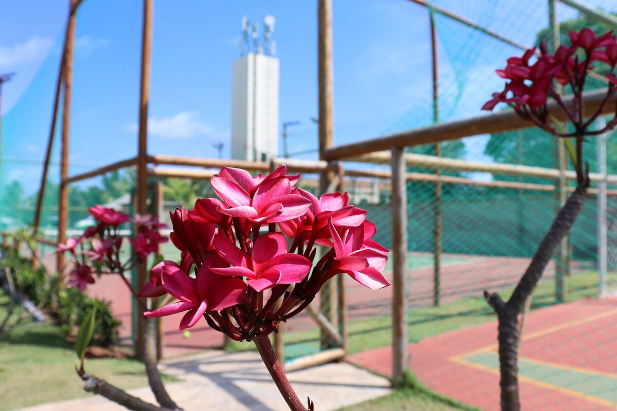 Jardim tropical e quadra esportiva do condomínio
